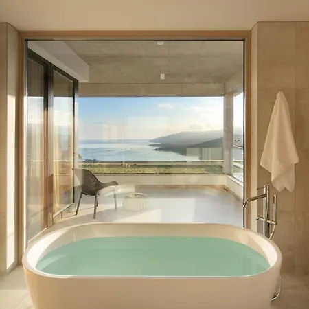 Tree Rabac